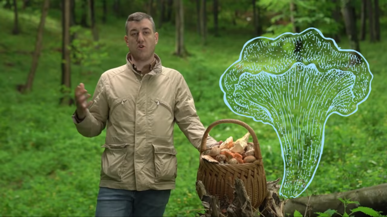 Erste Banka posvetila reklamnu kampanju klijentima
