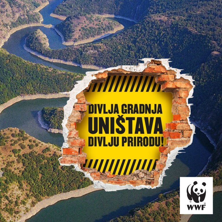 Fake smeštaj u borbi protiv realnosti divlje gradnje